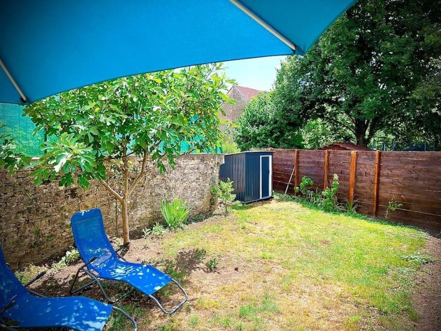 Tres Bel Appartement Avec Jardin Et Jacuzzi Scey-sur-Saone-et-Saint-Albin Exterior foto